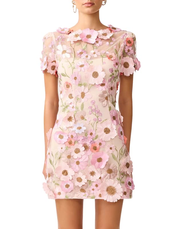 Elle Appliqué Mini Dress
